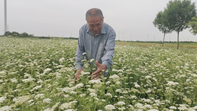 庆云：强村带弱村 联建促发展