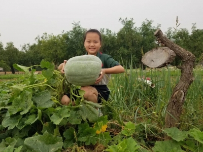 首批！乐陵市1所乡村学校上榜这份市级名单