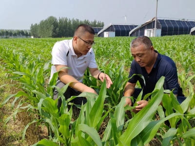 市派禹城市房寺镇三合庄社区第一书记陈鹏： 算好“三笔账” 让群众过好日子