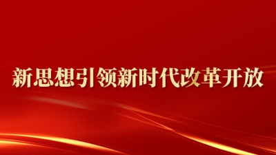 新思想引领新时代改革开放