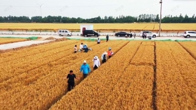 陵城区新农人于明竣：三十而“励” 乡村因青年而兴 