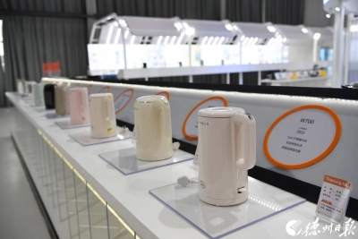 观摩手记 | 宁津县：“小”产业做精，同样“顶天立地”