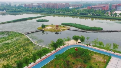 夏津县：避暑好去处 “荷”你相约九龙口国家湿地公园