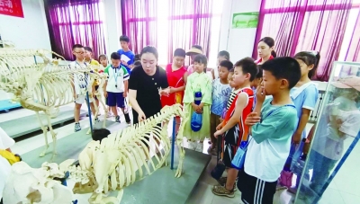 多彩假日 乐享成长 | 我市中小学生开启花样暑期生活