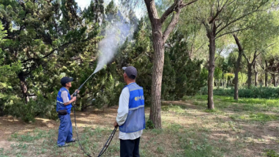 德州锦绣川景区：打好病虫害防治“保卫战”