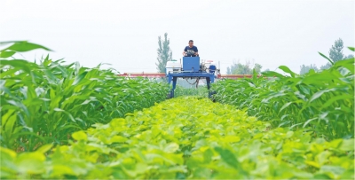 新风扑面好“丰”景——山东全面深化改革系列观察之建设更高水平“齐鲁粮仓”篇