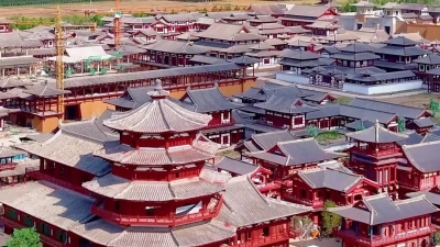 演员杨紫“安利”的乐陵市究竟有多美？