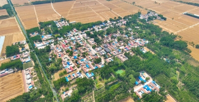 说说俺们的村史 | 临邑县坡张村：边角经济+特色种植养殖铺就致富路