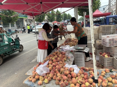 陵城区边临镇：网格员化身网络安全宣传员 筑牢网络安全防线