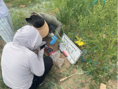 省地矿局第二水文队承担滨州一土壤污染现状调查项目