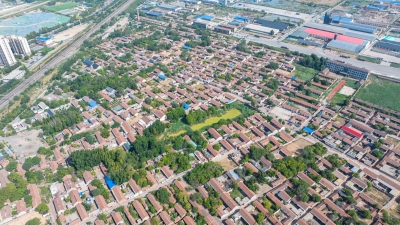 【说说俺们的村史】平原县赵家湾村：致富路上奏响文明曲