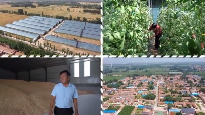 武城县：村民vlog——带你看看我们村的幸福生活