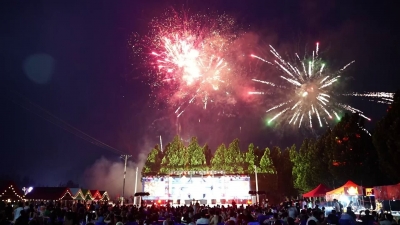 陵城区：龙虾音乐节点燃夏夜经济