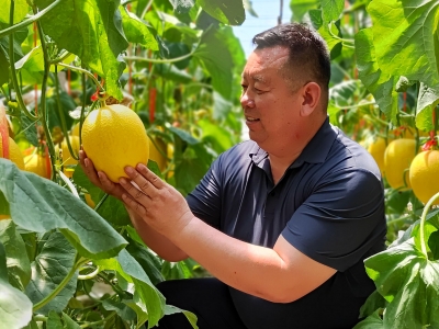 身边榜样 | 齐河张虎：至诚为农的“大棚管家”