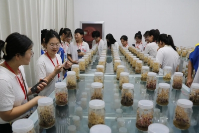 游家乡 看发展 | 乐陵市开展“千名高考•中考学子游乐陵”活动