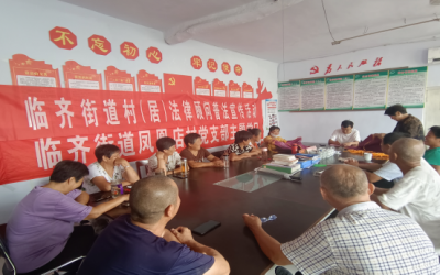为民办实事 | 陵城区临齐街道：村居法律顾问深入基层 普法宣传暖人心