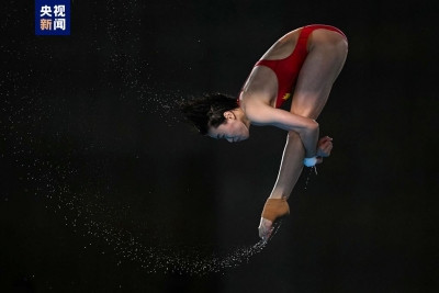 22金！中国选手包揽巴黎奥运会跳水女子10米台金银牌