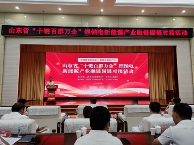 培育绿色新动能 发展新质生产力 | 庆云：打造锂钠电产业“智”造高地