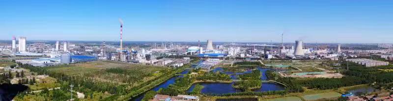 党建聚链激活澎湃动力—百亿绿色化工产业集群高质量崛起