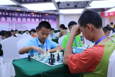 与奥运同行 | 2024年山东省国际象棋等级赛（德州站）举行