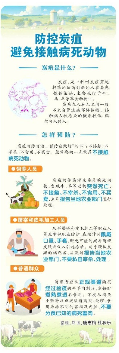 一图读懂 | 防控炭疽 避免接触病死动物