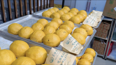 京津冀协同发展10年·融故事 | 杨永兴：带着德州非遗闯京城