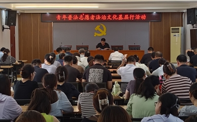 陵城区边临镇开展青年普法志愿者法治文化基层行活动