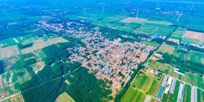 【说说俺们的村史】天衢新区水罗卜李村：昔日水萝卜，今朝中草药，一个村庄的产业升级