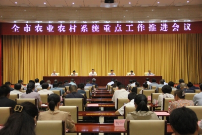德州市农业农村系统重点工作推进会议召开