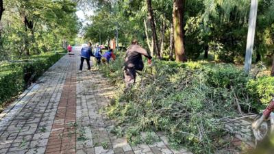 德州锦绣川景区：迅速清理倒伏树木  消除隐患保障出行