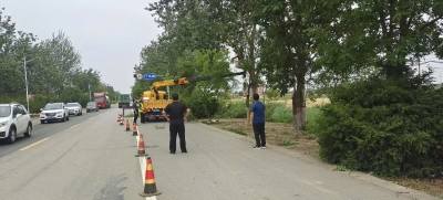 乐陵公路分中心开展国省道绿化树木修剪