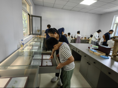 德州园林：开展与绿“童”行科普研学活动  