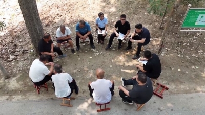 平原县：“小马扎”上谈心事 唠出村民幸福感