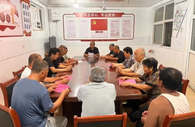 夏津县新盛店镇东马庄村：党建“小网格”汇聚治理“大能量”