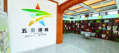 打造“五星德粮” 建设食品名市 | 德州市以品牌战略推动粮食产业高质量发展