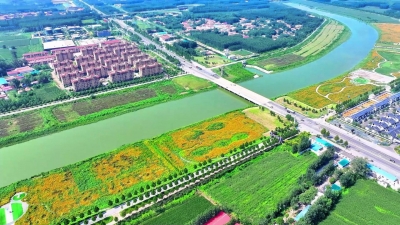 乐陵市：瓜果飘香绘“丰”景