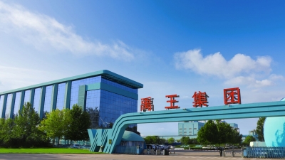 打造“五星德粮” 建设食品名市 | 禹王生态食业有限公司：铺就“中国大豆”品牌之路