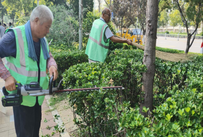 德州园林：修剪树枝给树木“瘦身”，美化城市环境