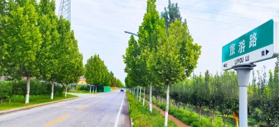 德州市把“乡村著名行动”列入“一把手”营商环境项目全力推进：6250条“无名路”有名了