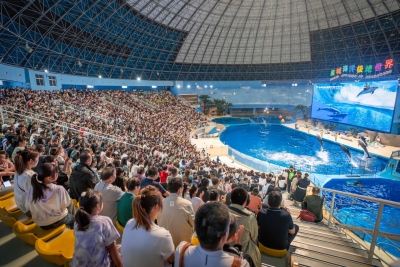 今年中秋，齐河文旅很“热”