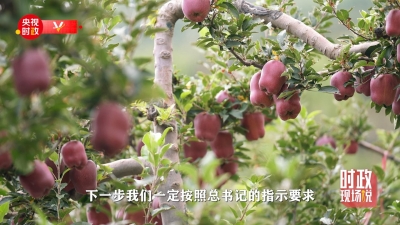 散文｜祖新兰：老家的中秋节