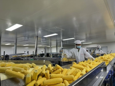 诗｜王朝忠：贺农民丰收节