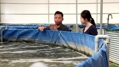 鱼跃农门 “南鱼北养”的庆云实践