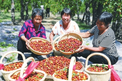 党建引领聚合力 强村富民促振兴 —— 德州市抓党建促乡村振兴工作综述