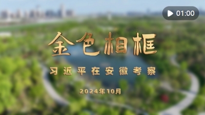 诗｜康丙云：拍照