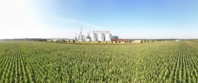 ​齐河：人才增“智” 农业提“质”