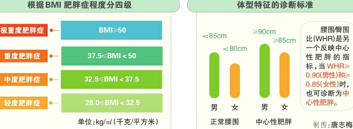 我国首部肥胖症诊疗权威指南发布 |  “宝典”在手 助你科学健康减肥