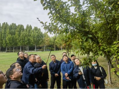 德州园林：专家请进来  培训增技能