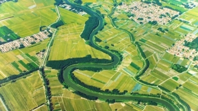 德州：从“盐碱地”到“大粮仓”