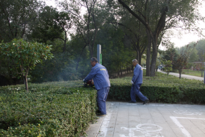 德州锦绣川景区：修出苗木“精气神”，提高景区“新颜值”